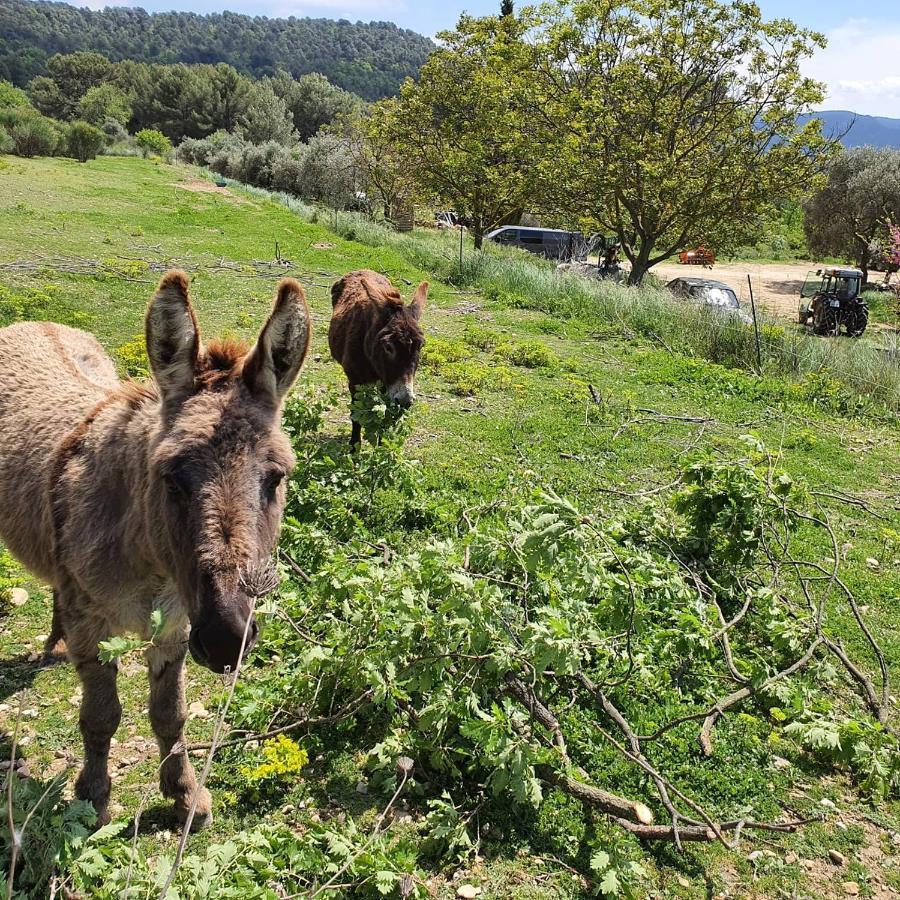 카데네트 Bastide Bellugue Maison D'Hotes Reseau Bienvenue A La Ferme A 3 Minutes De Lourmarin B&B 외부 사진