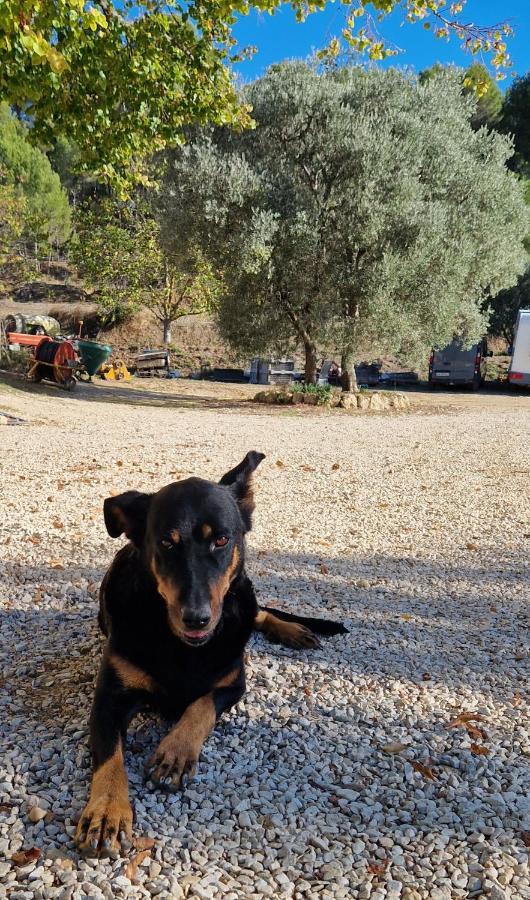Bastide Bellugue Maison D'Hotes Reseau Bienvenue A La Ferme A 3 Minutes De Lourmarin 카데네트 외부 사진