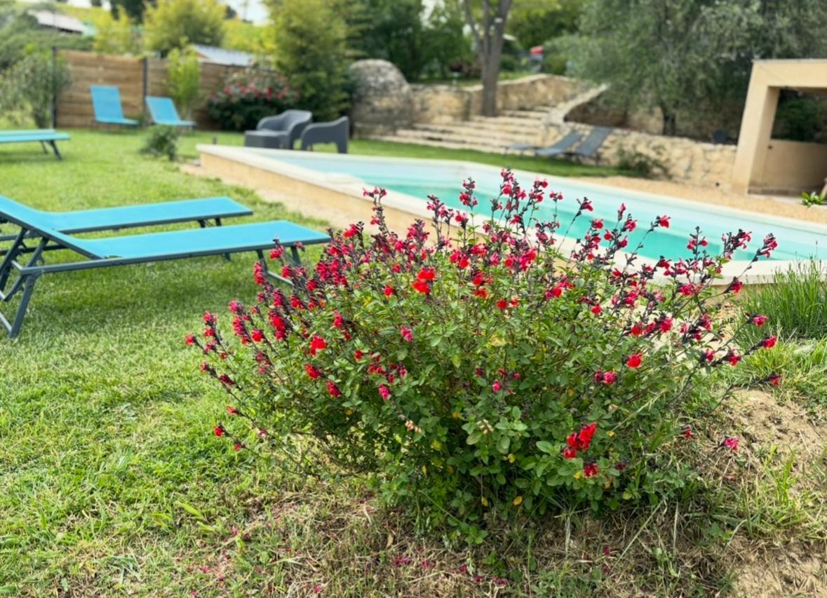 Bastide Bellugue Maison D'Hotes Reseau Bienvenue A La Ferme A 3 Minutes De Lourmarin 카데네트 외부 사진