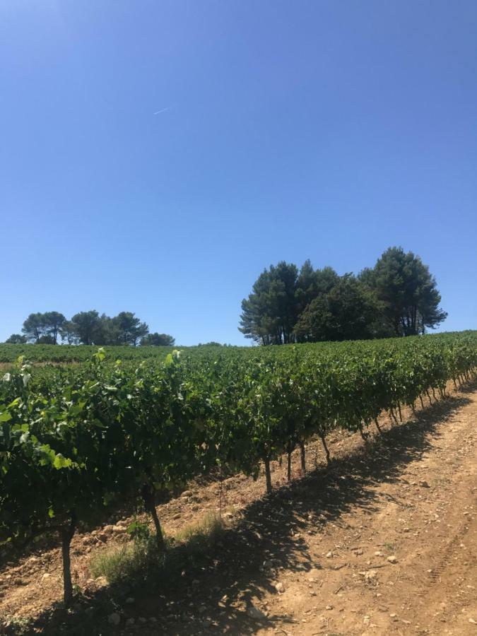Bastide Bellugue Maison D'Hotes Reseau Bienvenue A La Ferme A 3 Minutes De Lourmarin 카데네트 외부 사진