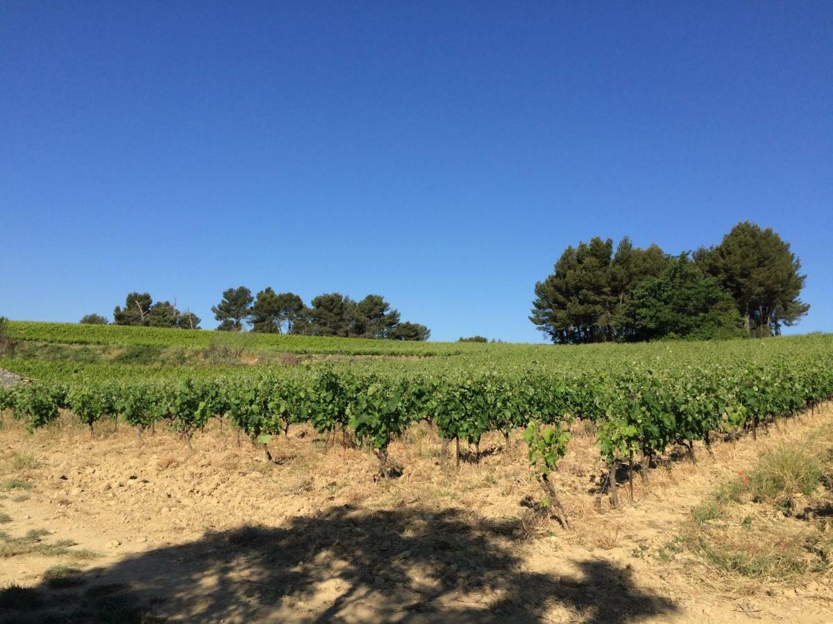 Bastide Bellugue Maison D'Hotes Reseau Bienvenue A La Ferme A 3 Minutes De Lourmarin 카데네트 외부 사진