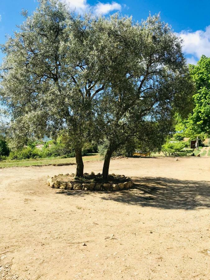 카데네트 Bastide Bellugue Maison D'Hotes Reseau Bienvenue A La Ferme A 3 Minutes De Lourmarin B&B 외부 사진